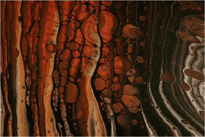 Trattamento dei reflui zootecnici con Microrganismi Effettivi EM®