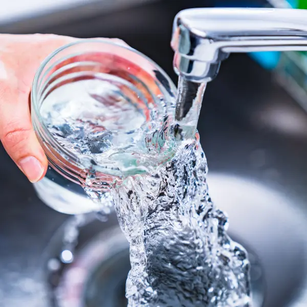 trattamento acque con tecnologia EM per uso domestico, piscine, stagni, laghetti
