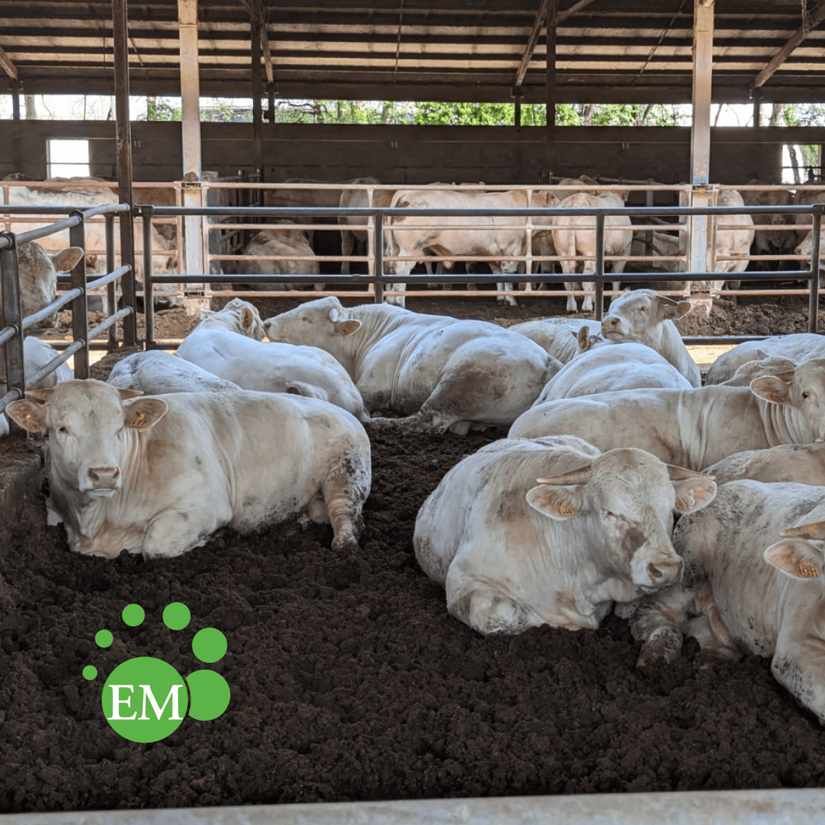 corso SITEM di zootecnia con allevatori e consulenti agronomici