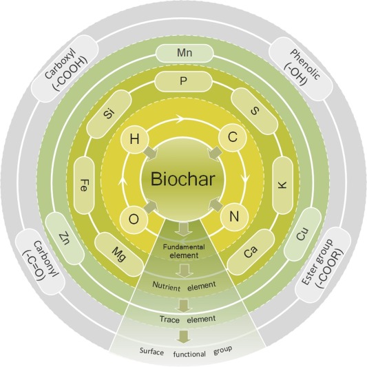 Come funziona il biochar